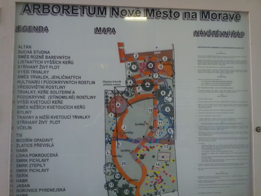 Arb4